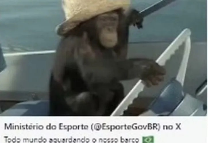 Imagem ilustrativa da imagem Ministério faz postagem racista sobre barco brasileiro na abertura da Olimpíada