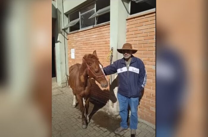 Sérgio visitou Caramelo no Hospital Veterinário da Ulbra, onde o animal está acolhido desde que foi regatado do telhado