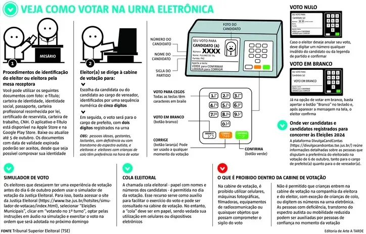 Como votar neste domingo (6)