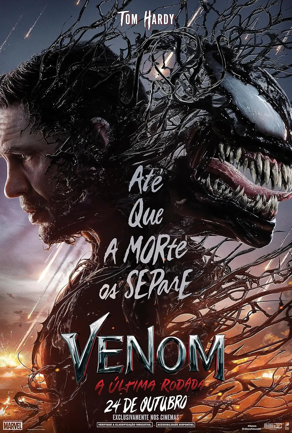 Imagem ilustrativa da imagem Confira os filmes com maior bilheteria no Brasil em 2024
