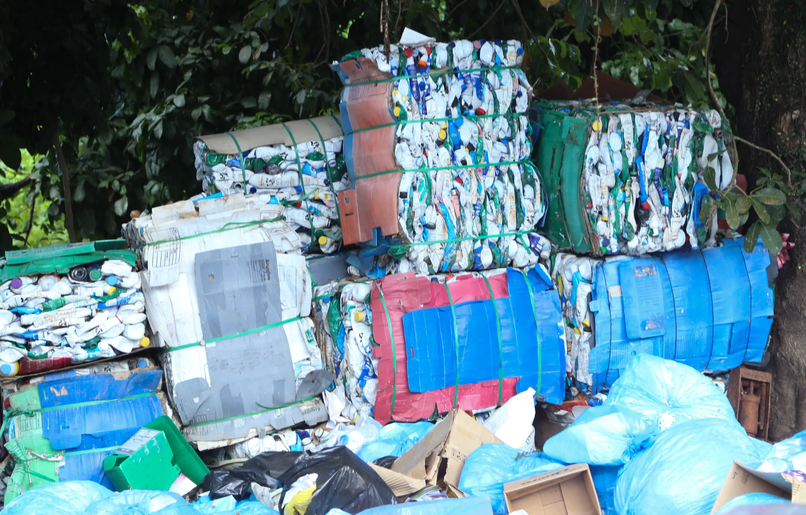 Garrafas de plástico prensadas e prontas para a venda