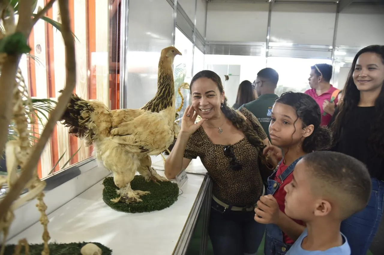 Lilian estava curtindo Fenagro pela primeira vez