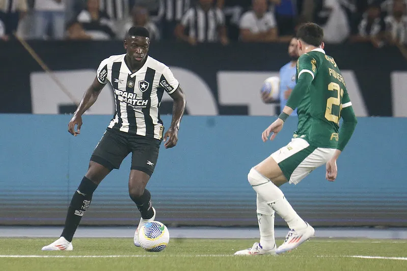 Luiz henrique em Botafogo x Palmeiras pelo Campeonato Brasileiro no Estadio Niltos Santos