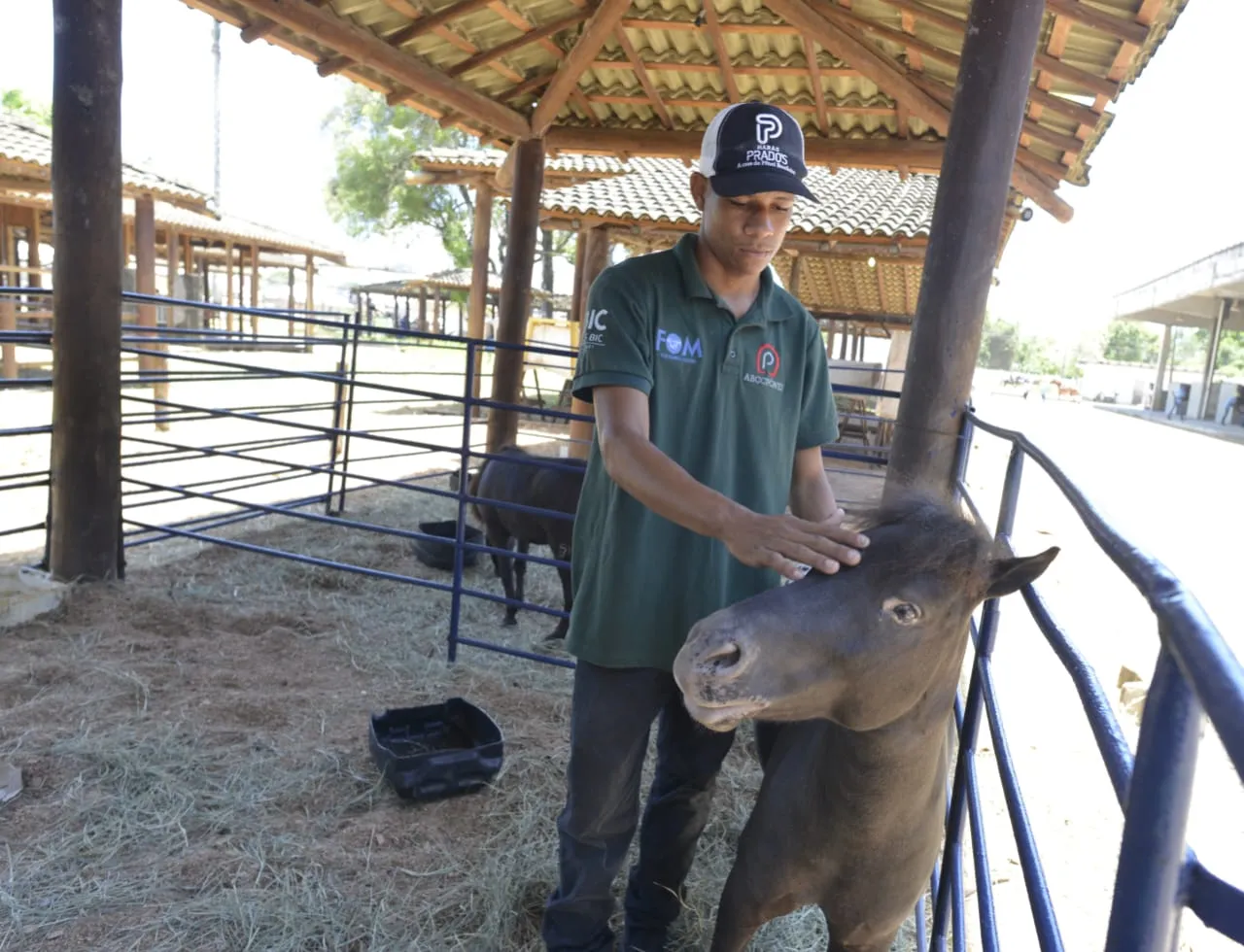 Felipe Tiago cuida dos animais com muito carinho