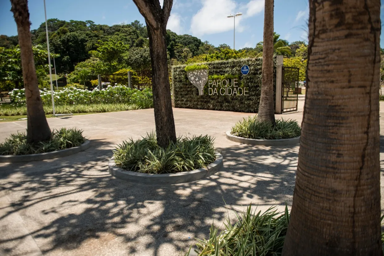 Imagem ilustrativa da imagem Conheça 7 lugares em Salvador para relaxar em contato com a natureza