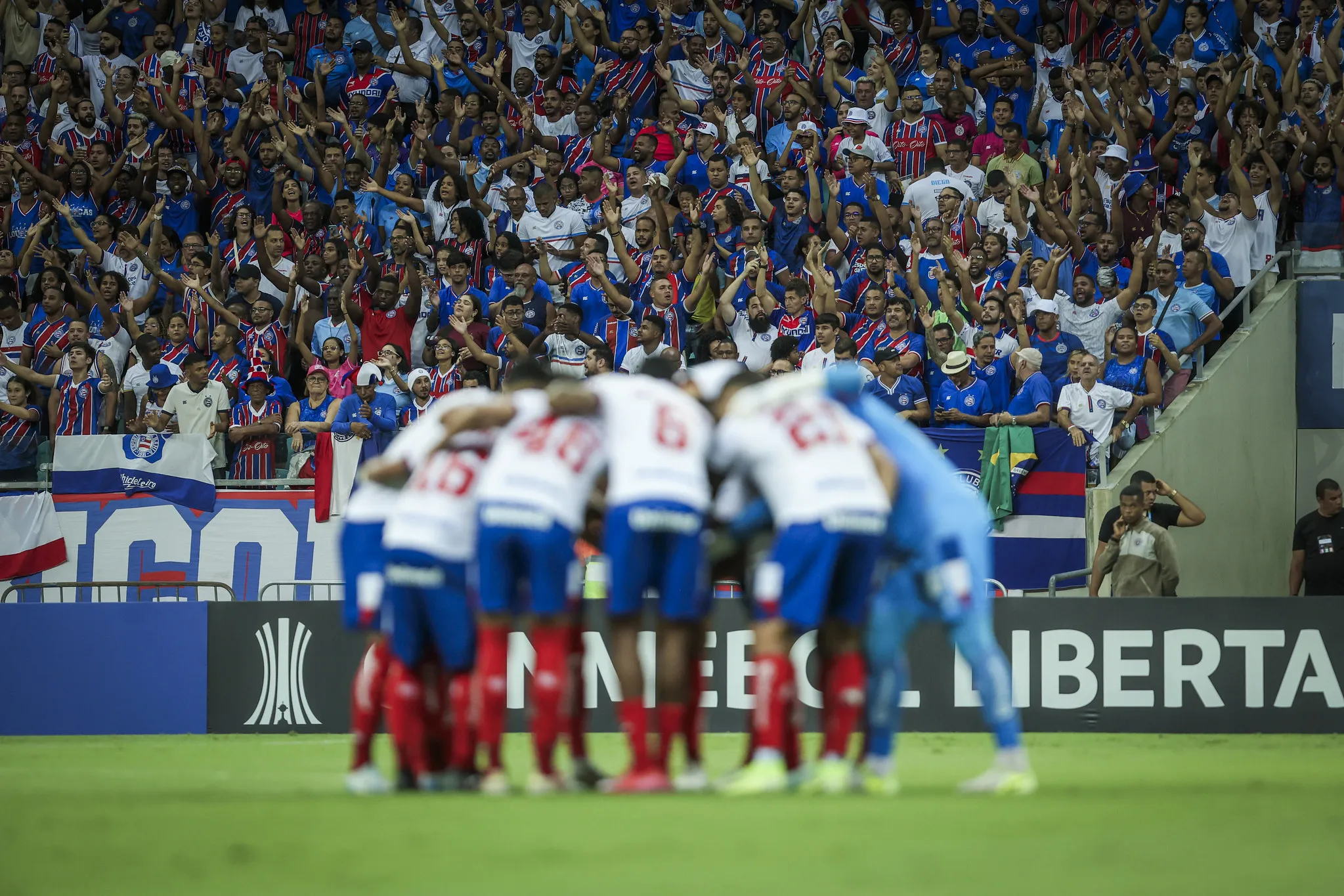 Elenco tricolor está pronto para a decisão desta noite