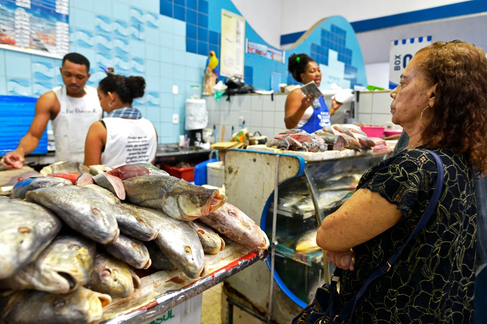 Imagem ilustrativa da imagem Peixe e vinho: preços, tipos e mercados 'fervem' Semana Santa