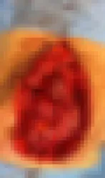 Confira a foto publicada pelo ex-presidente