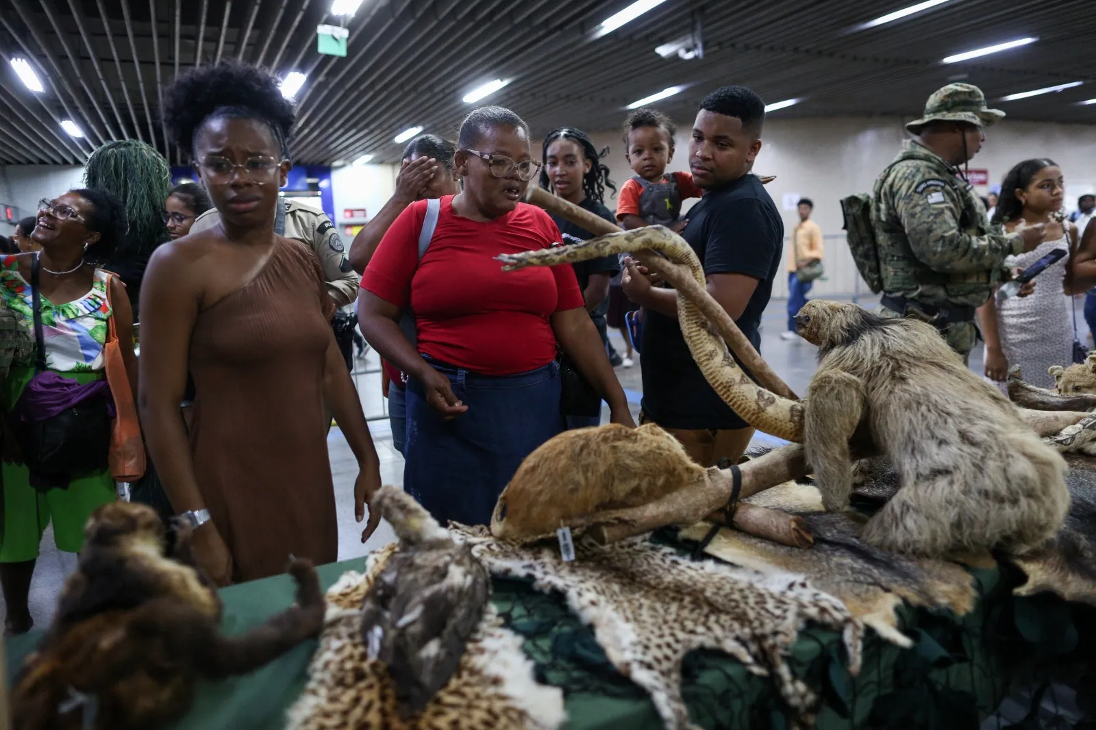 Imagem ilustrativa da imagem Exposição proporciona contato de pessoas com cobra exótica na Lapa