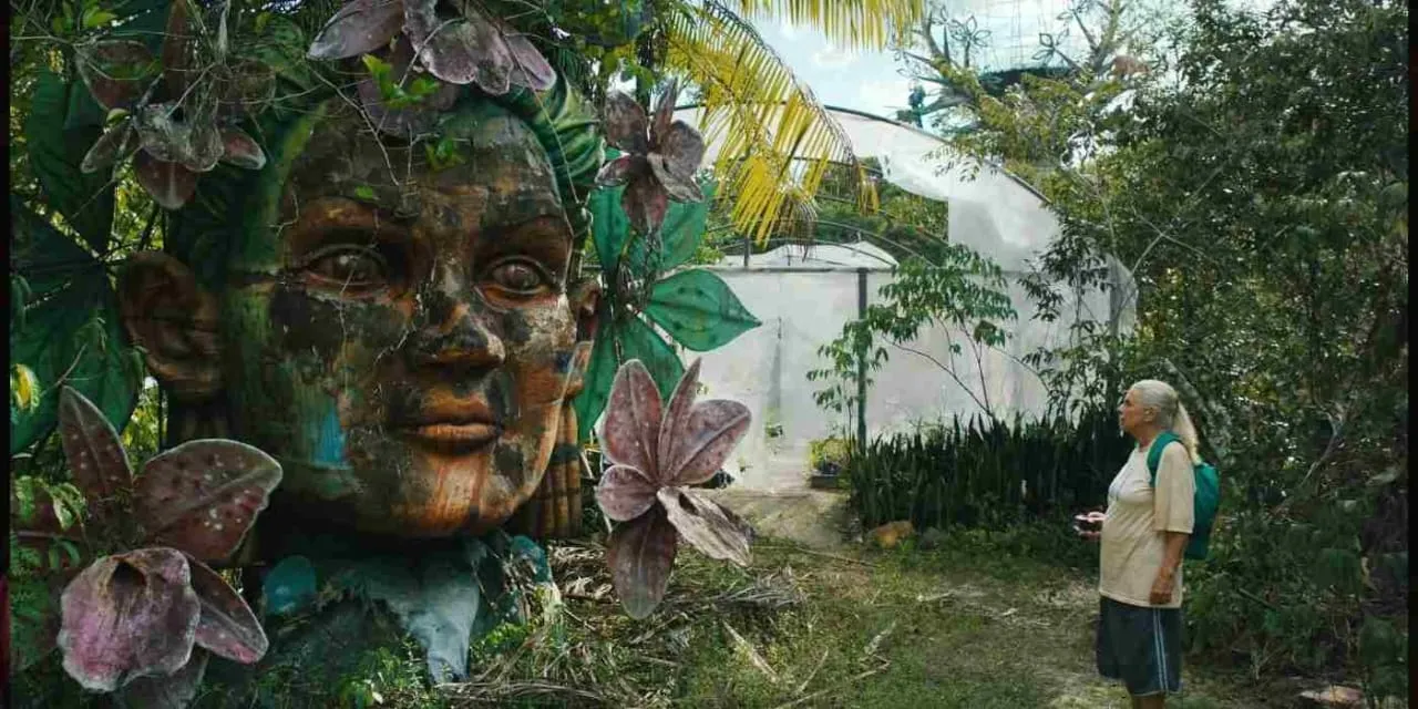 Imagem ilustrativa da imagem É bom? 'O Último Azul' chega aos cinemas com crítica feroz ao etarismo