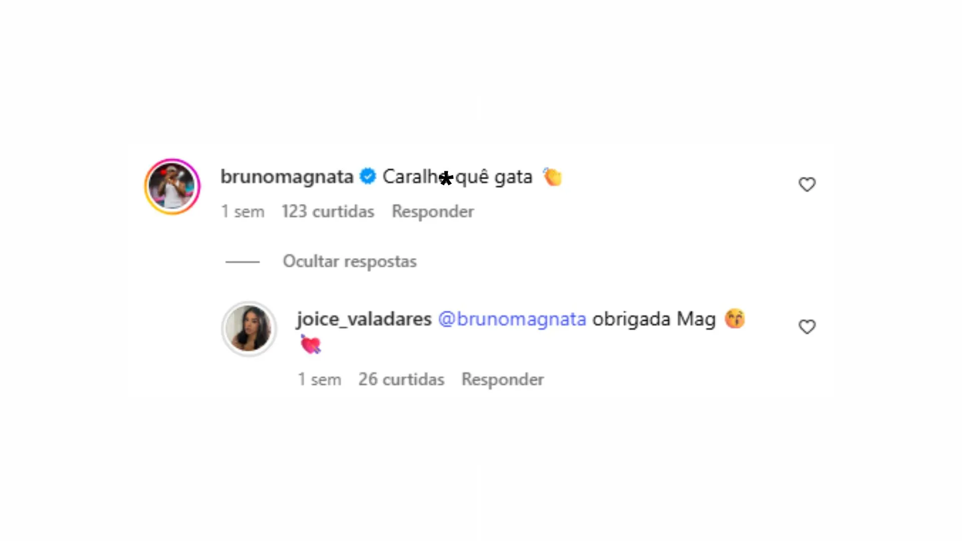 Cantor deixou elogio na postagem da blogueira