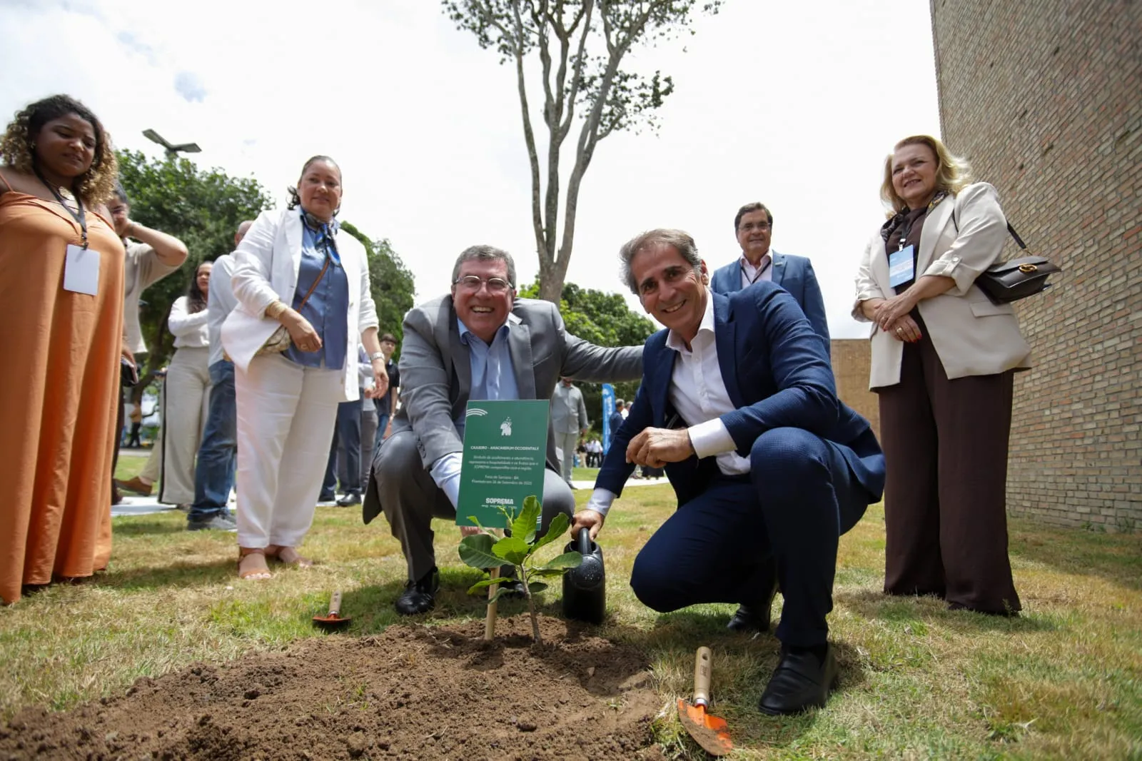 Mudas de árvores foram plantadas