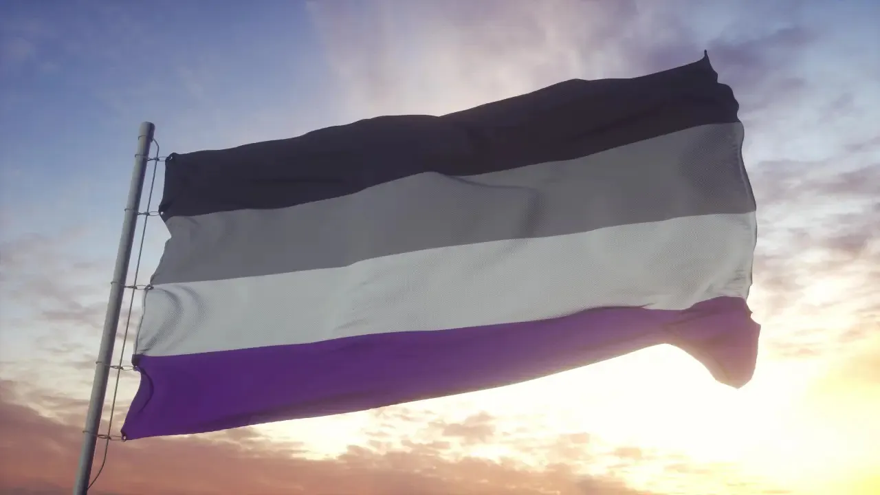 Bandeira da visibilidade assexual