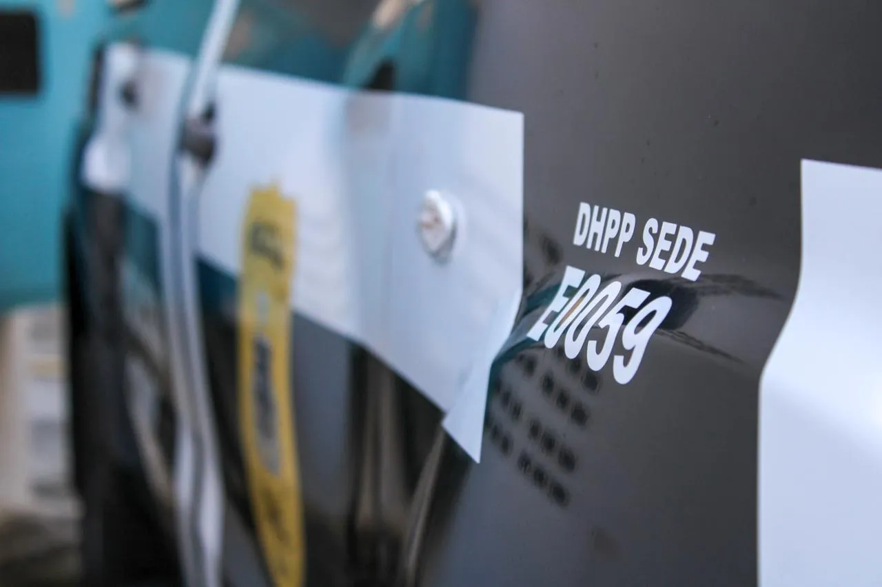 DHPP se une ao DPT para encontrar famílias de desaparecidos
