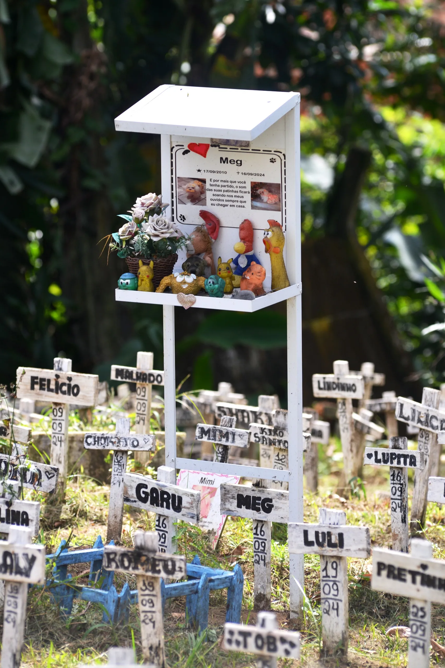 Homenagens são feitas aos animais
