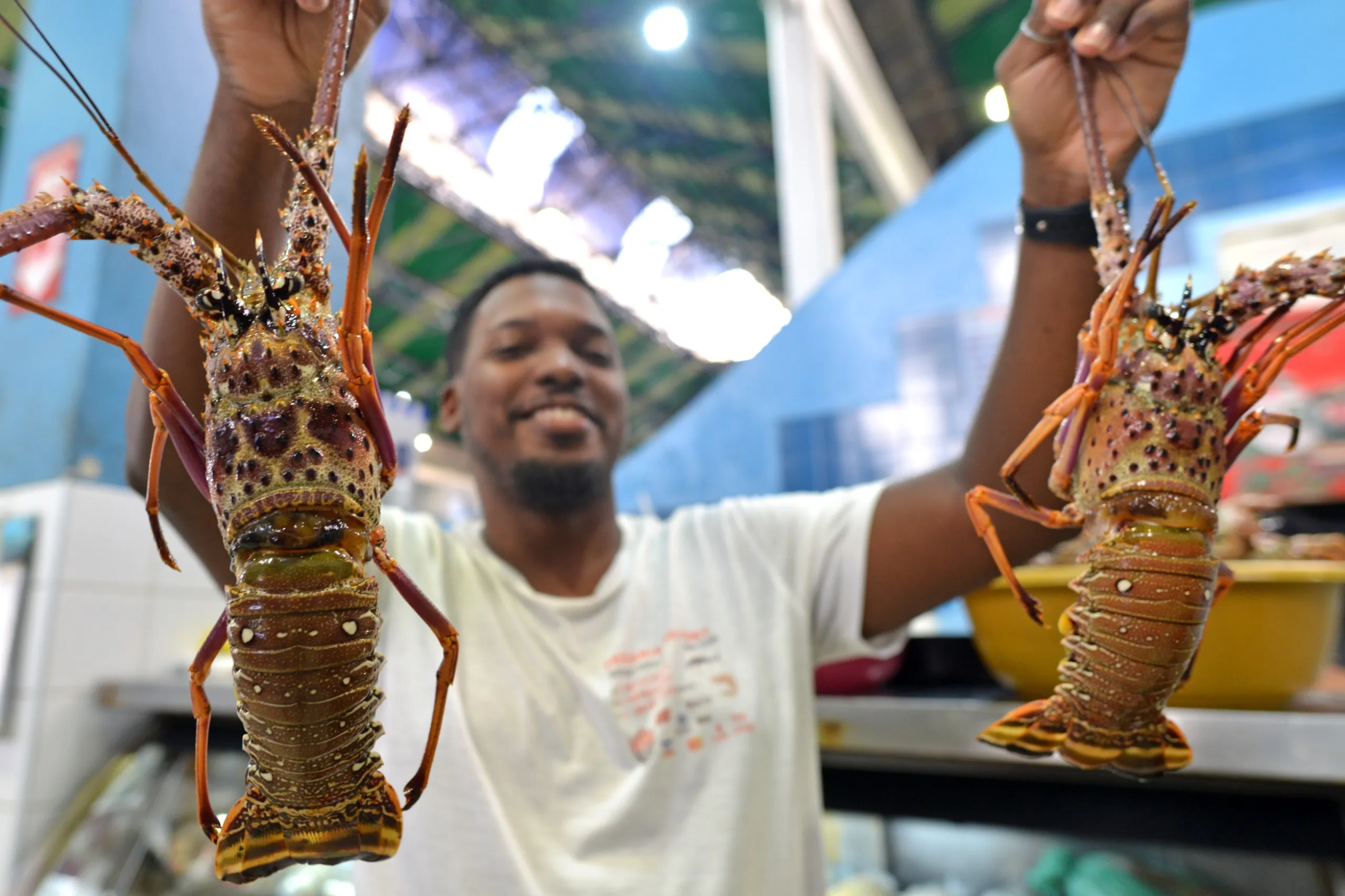 Gabriel Bispo com lagosta, dono do box 20 no Mercado do Peixe.