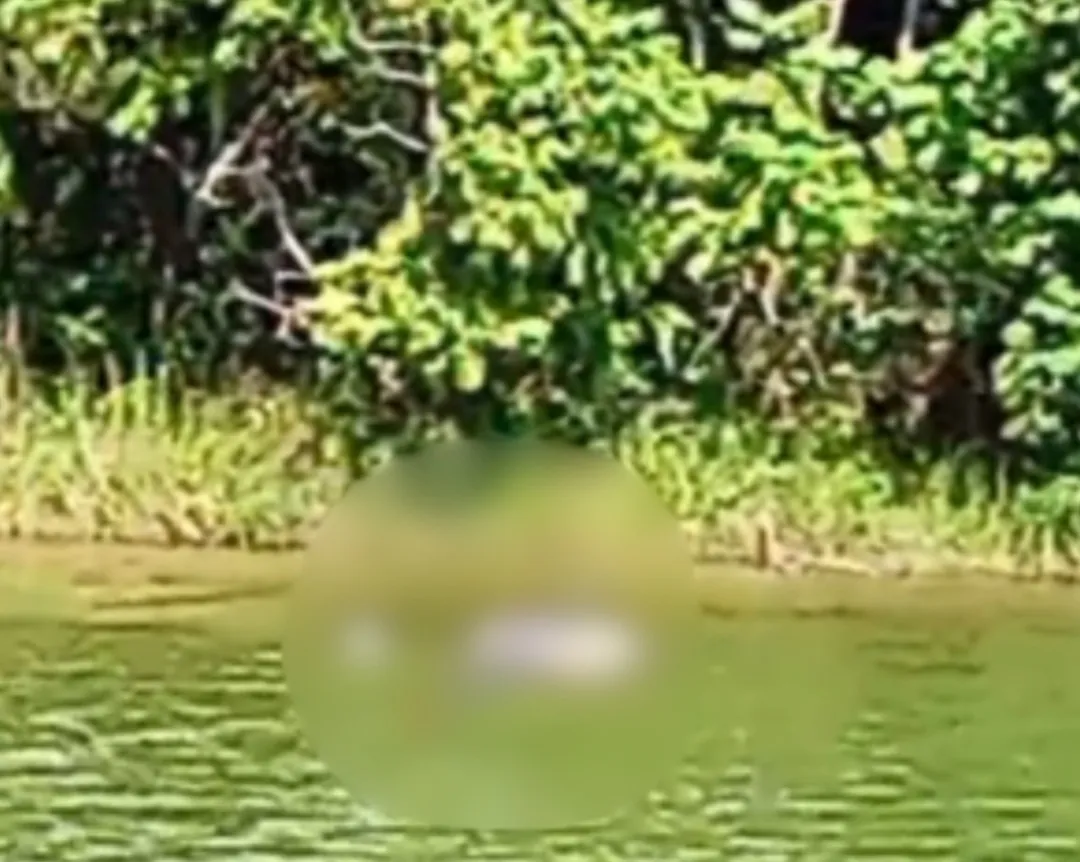 Corpo foi encontrado boiando no Rio Bombeiro