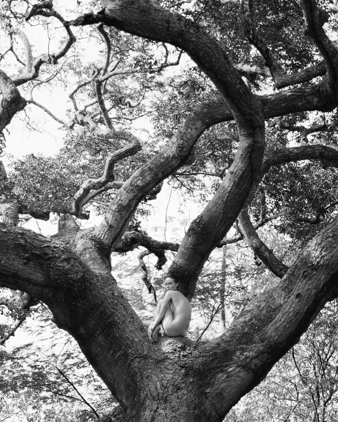 Mariana Ximenes posa nua