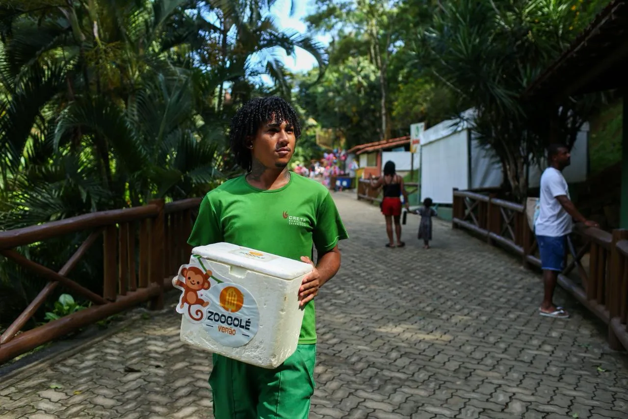 Imagem ilustrativa da imagem Bichos do zoológico de Salvador recebem mimos por causa do calor