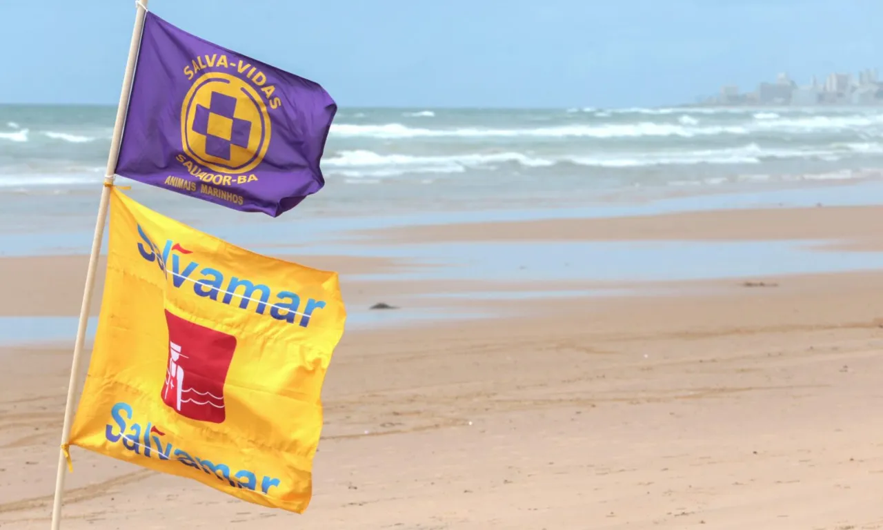 Bandeira Roxa é alerta ara banhistas