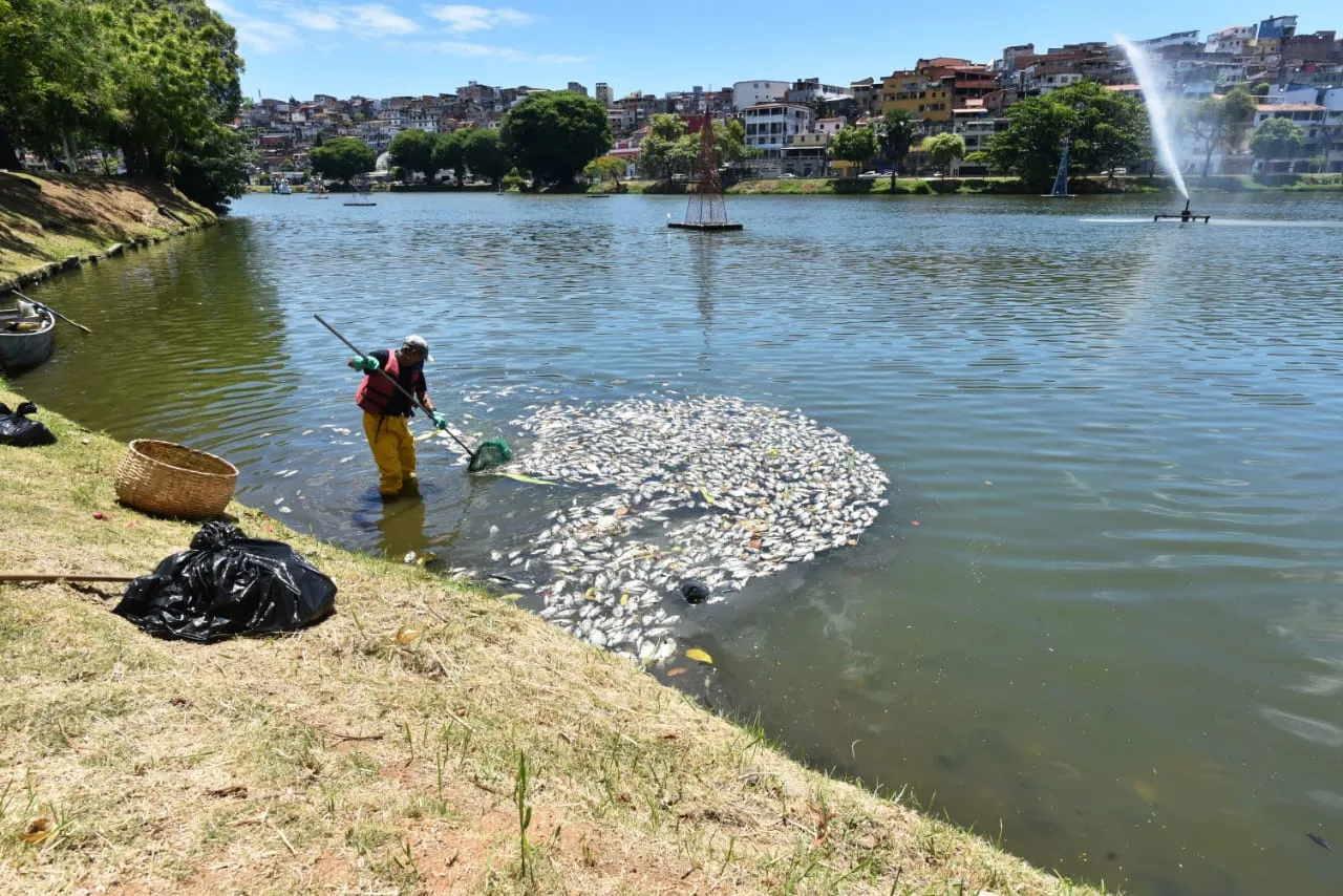 Conder é responsável pela manutenção do espaço
