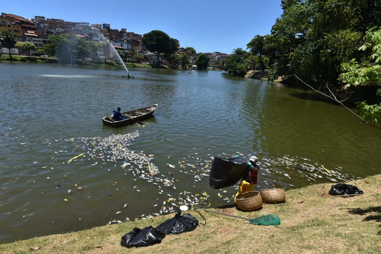 Dique do Tororó é um importante ponto turístico de Salvador