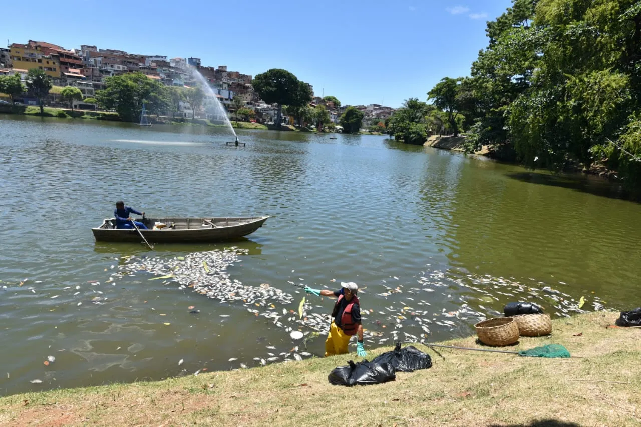 Conder e Inema emitiram notas