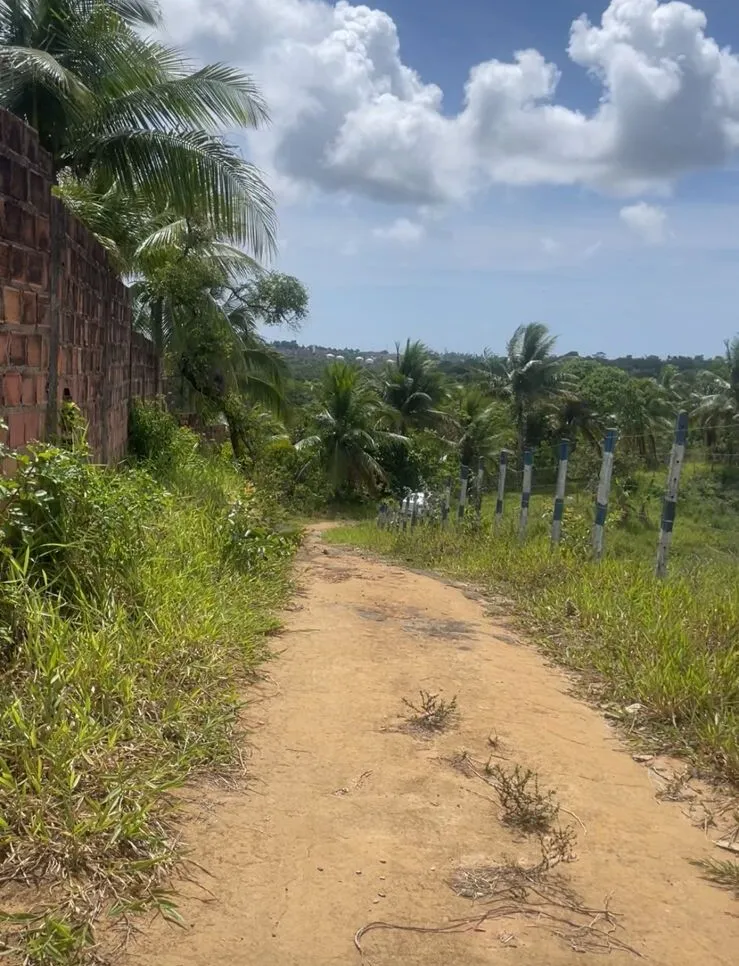 Local em que o carro foi encontrado