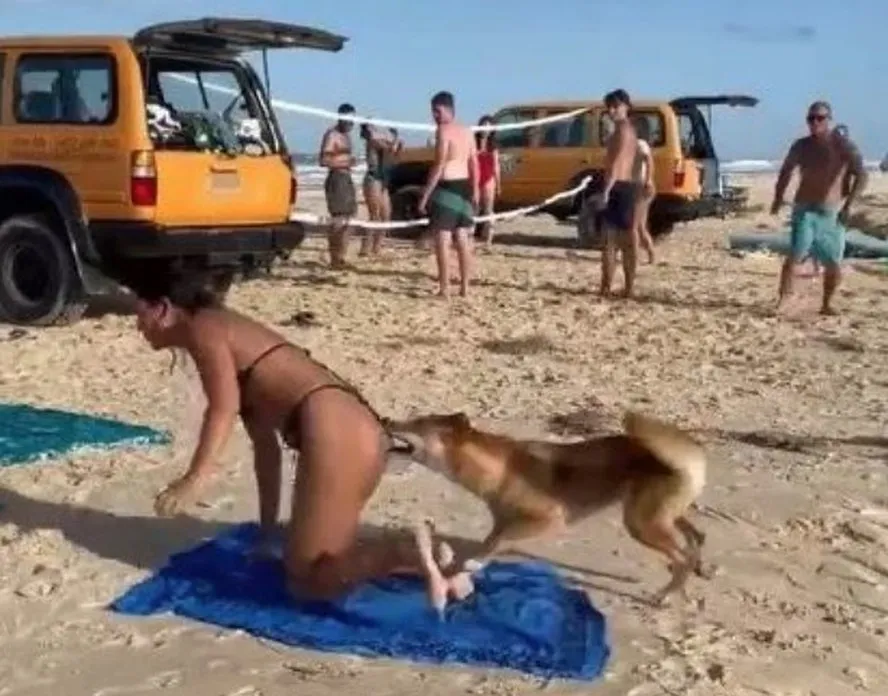 Ataques são comuns na região