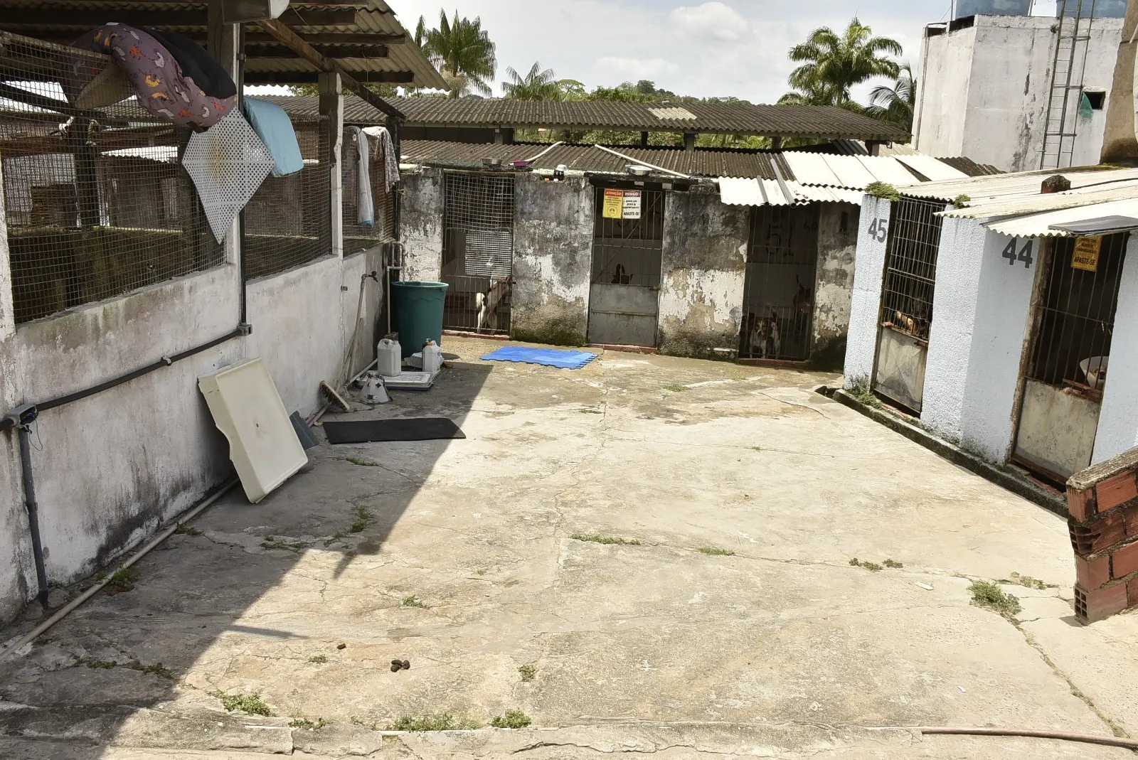 Voluntários pedem ajudam para manter abrigo de pé