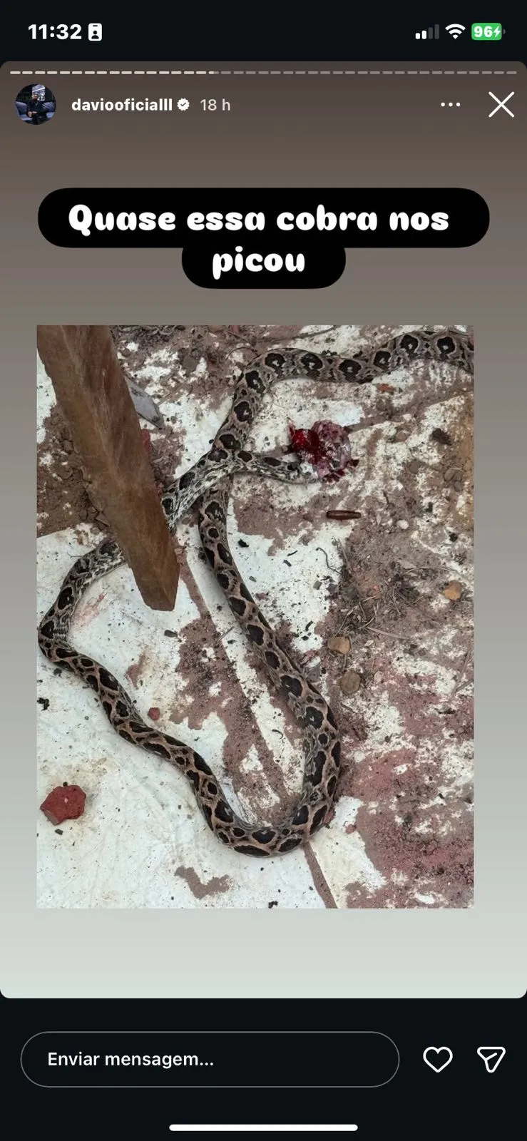 Davi Brito mostra cobra morta após suposto ataque