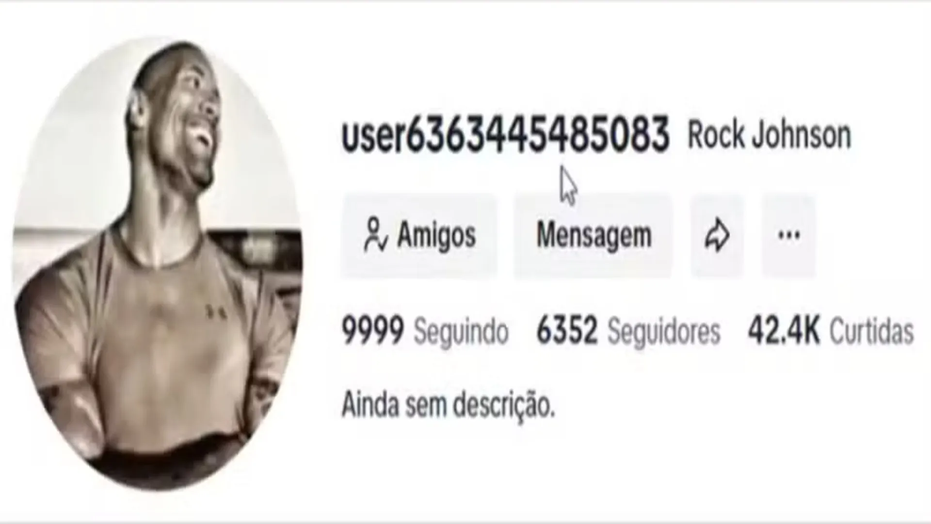Perfil criado pelo golpista