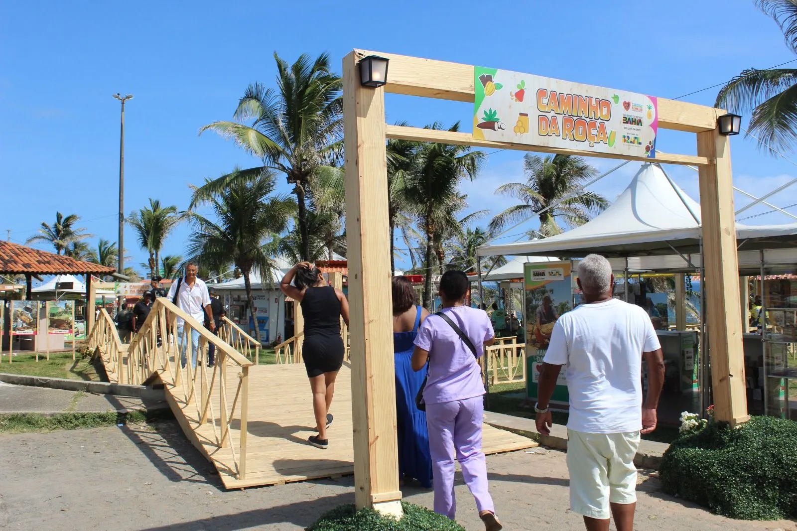 Imagem ilustrativa da imagem Feira em Salvador reúne chopp de licuri, beiju de capim santo e mais