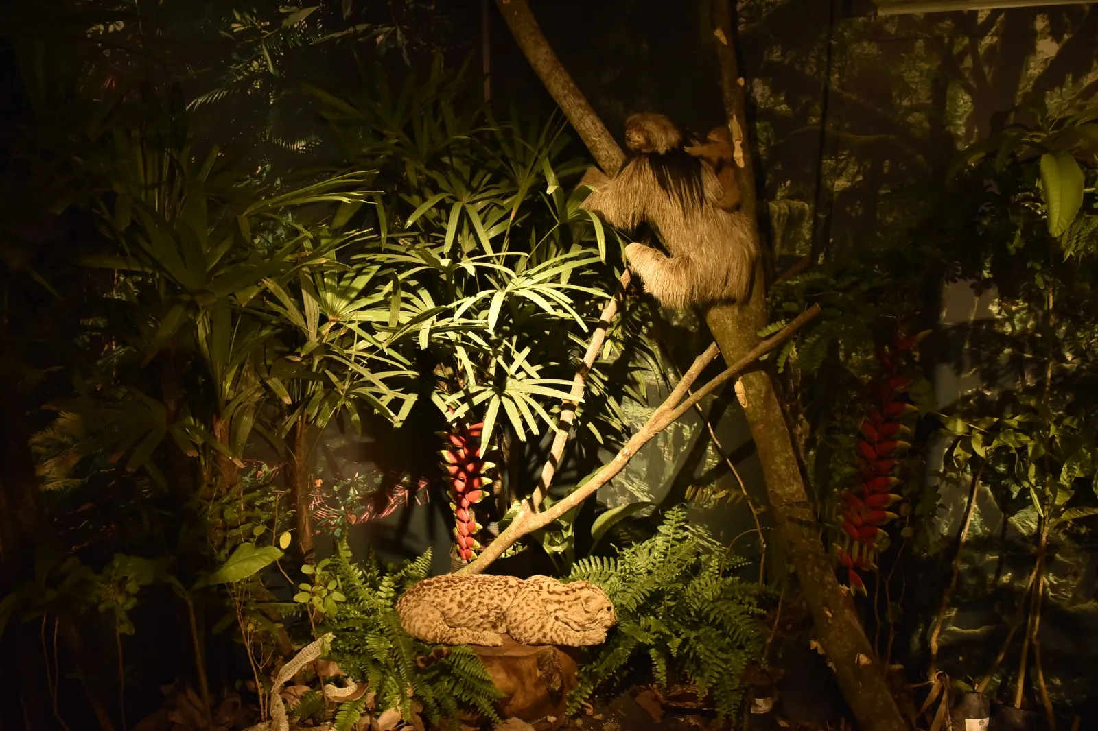 Imagem ilustrativa da imagem Visitantes entram em “floresta em chamas” e vivem alerta na Fenagro