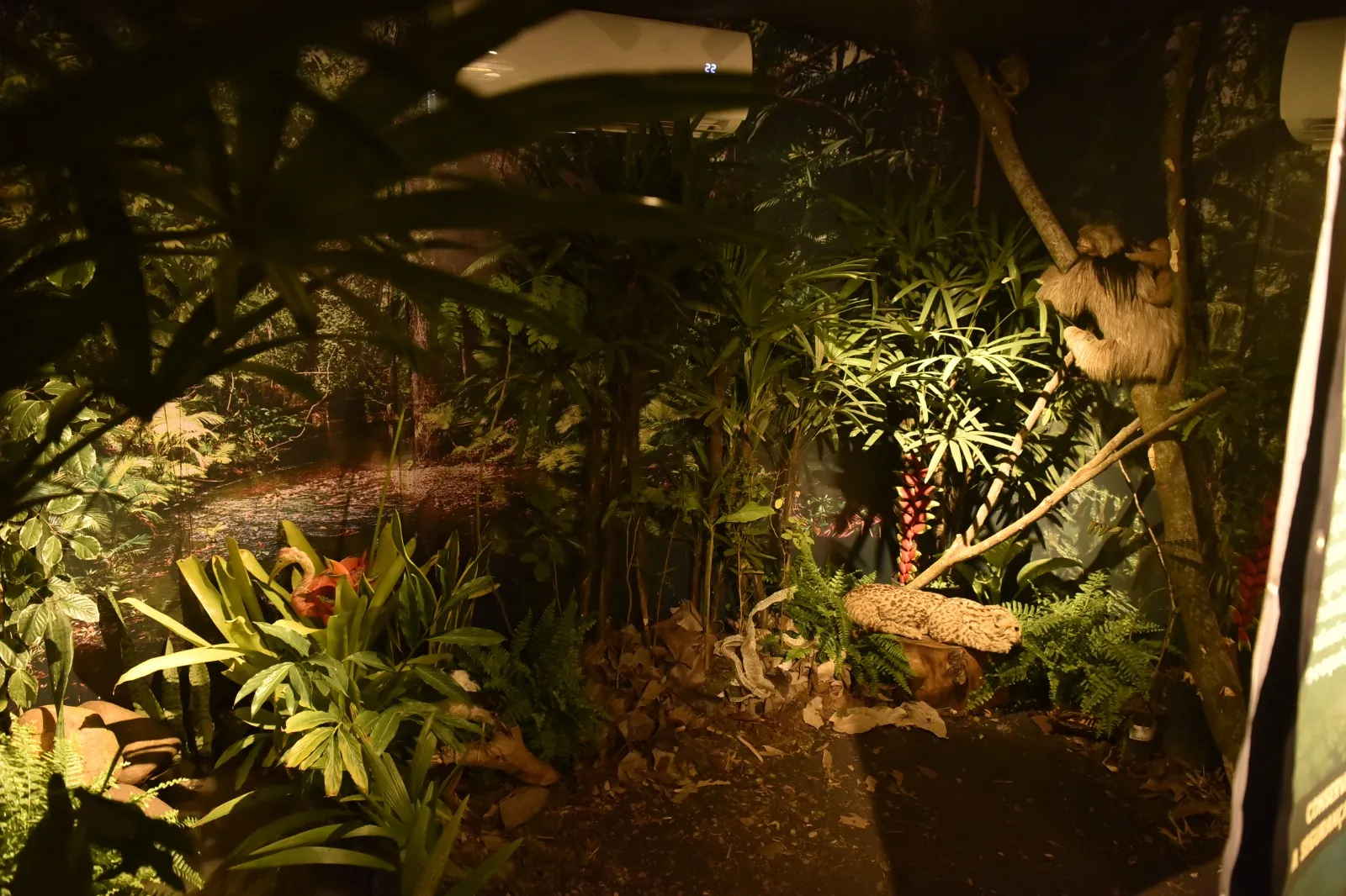 Imagem ilustrativa da imagem Visitantes entram em “floresta em chamas” e vivem alerta na Fenagro