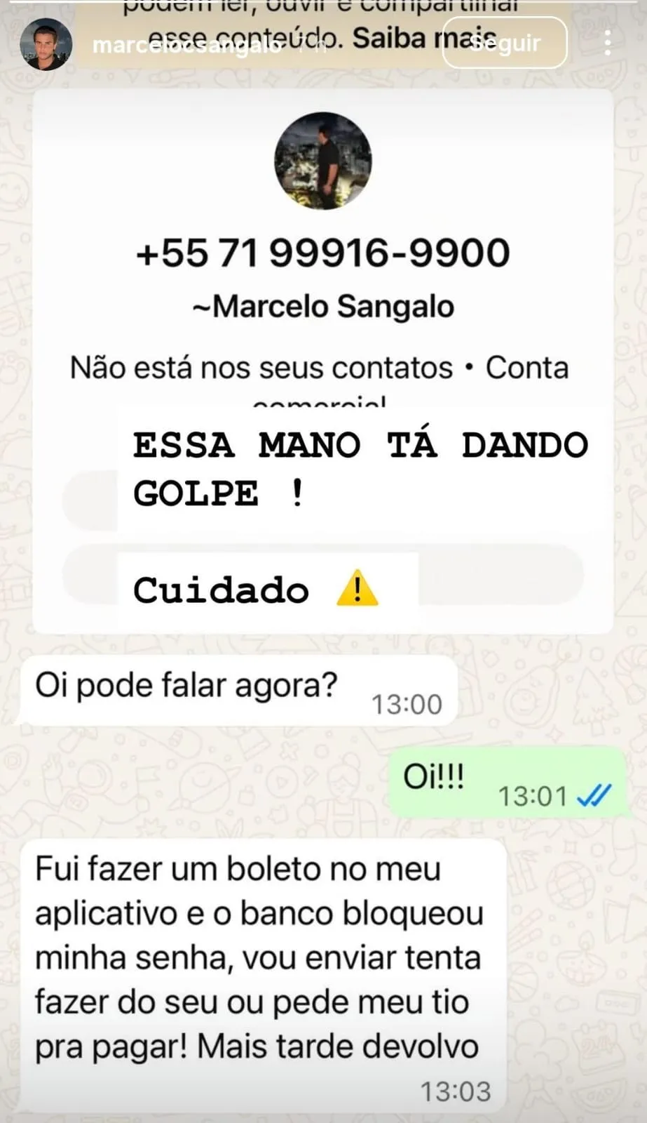 Imagem ilustrativa da imagem Filho de Ivete 'toma 1 a 0' de golpista e faz alerta