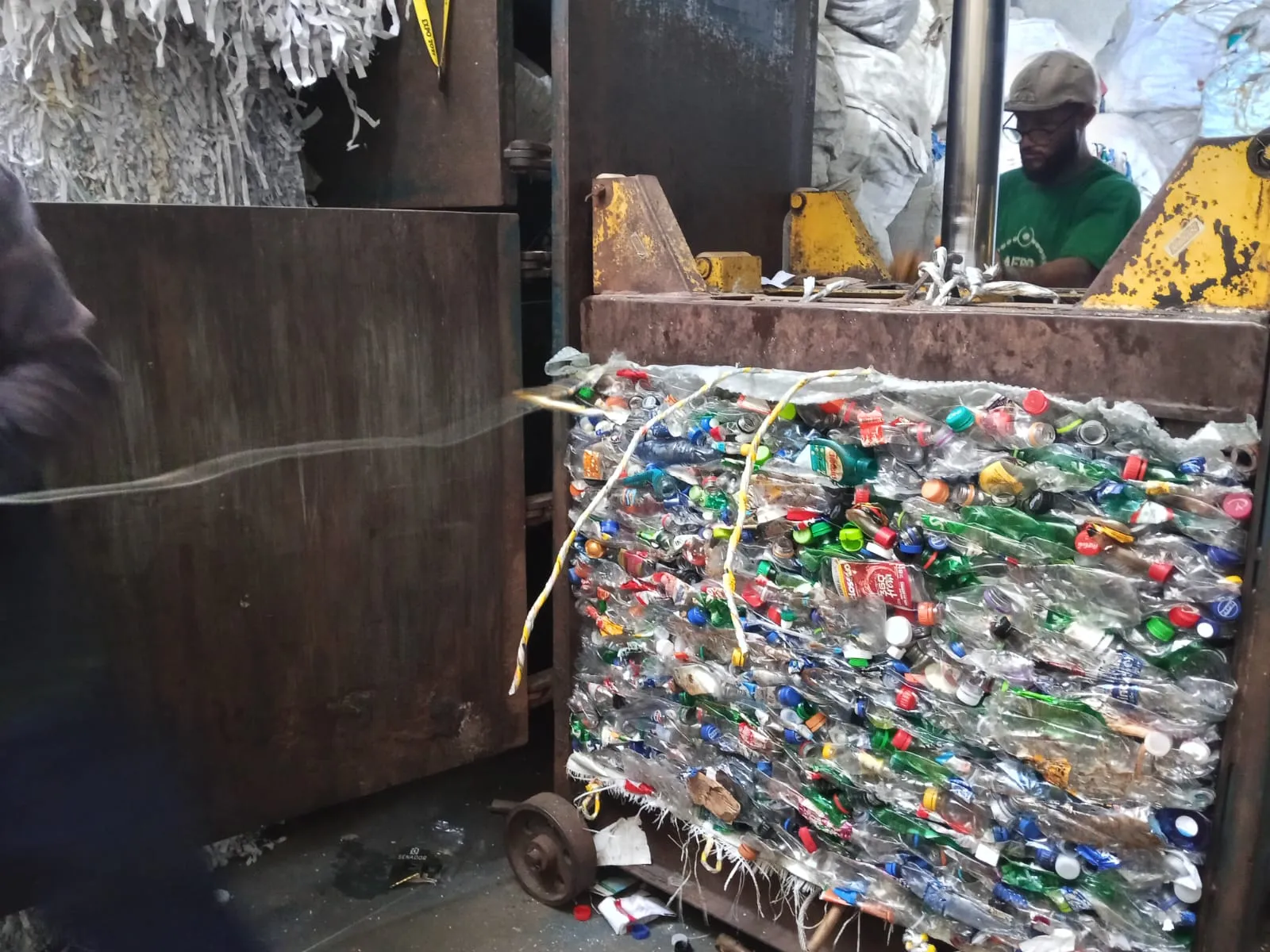 Michele destaca que o Carnaval é a época mais lucrativa para os trabalhadores