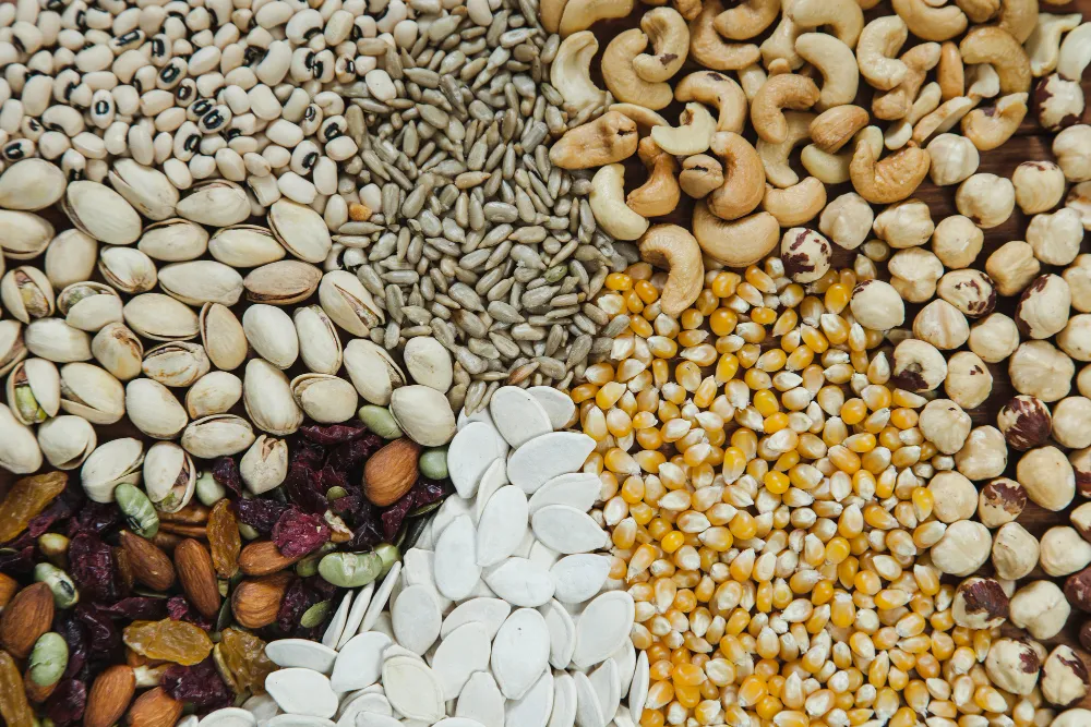 Feijão, lentilhas, quinoa, girassol, aveia, são exemplos de grãos e sementes