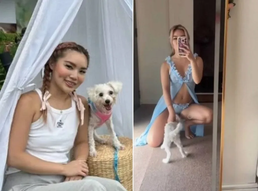 Influenciadora tentou minimizar sua culpa