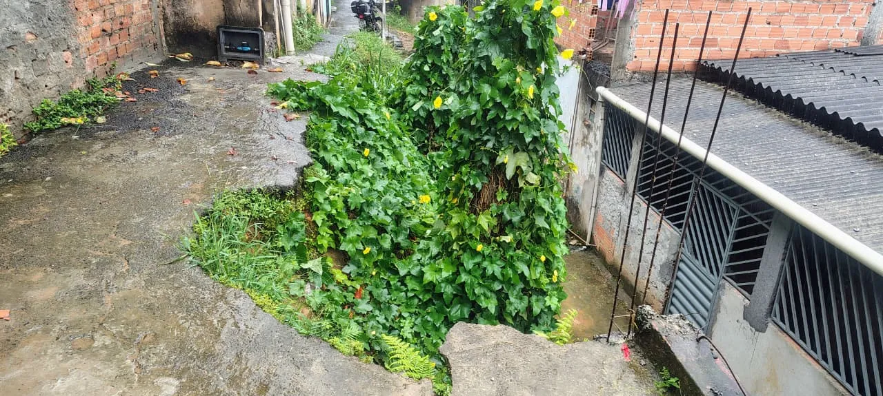 Jefferson utiliza de plantas e mato para diminuir as chances de um novo deslizamento