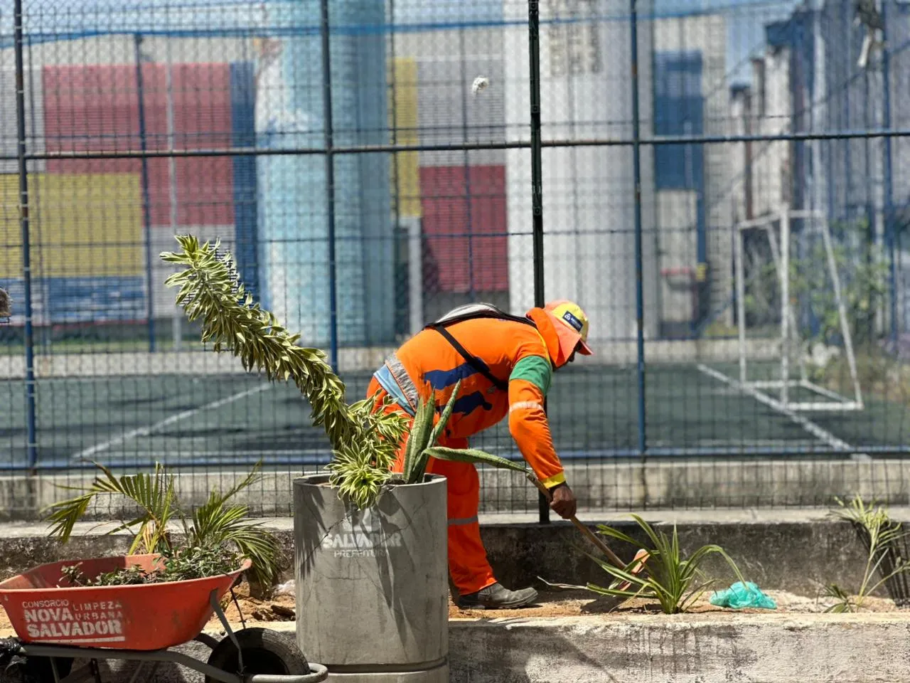 Imagem ilustrativa da imagem Limpurb dá grau em áreas sujas e cria jardins comunitários