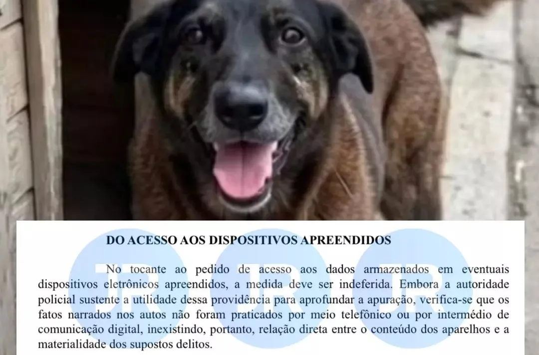 Documento divulgado pelo Jornal Razão, de Santa Catarina