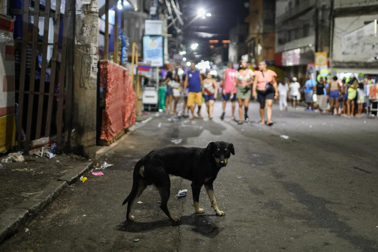 Imagem ilustrativa da imagem O povo é massa! Pré-Carnaval mistura festa e corre no Nordeste