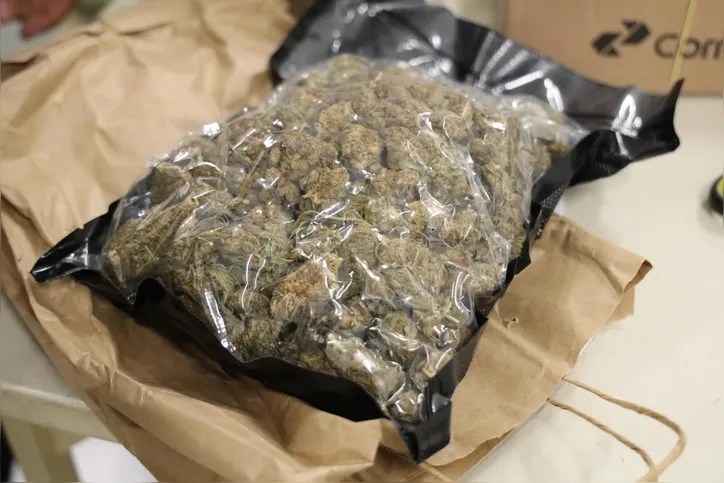 Polícia buscar encontrar os envolvidos no esquema