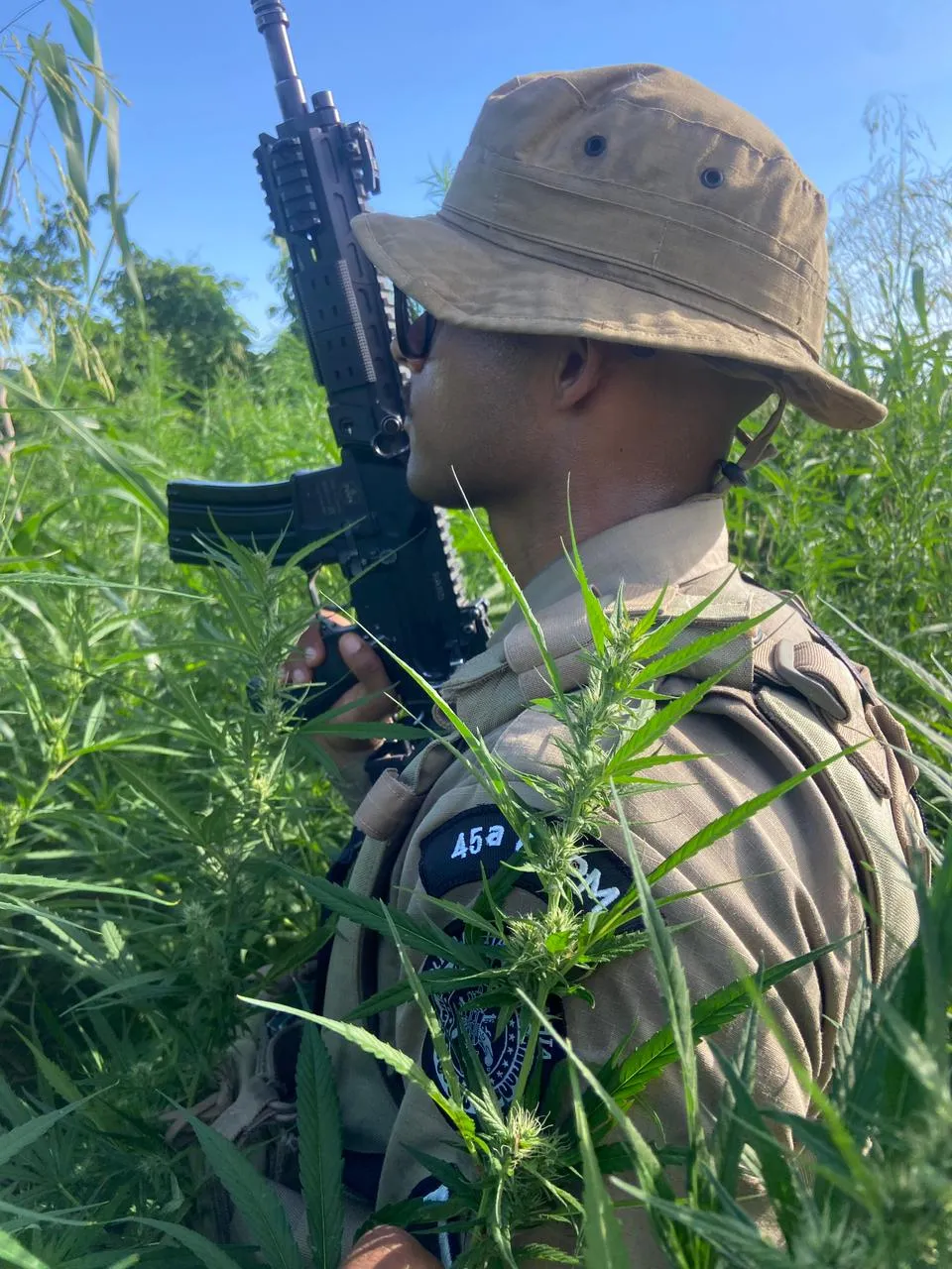 Combate ao tráfico de drogas foi protagonizado pela Polícia Militar