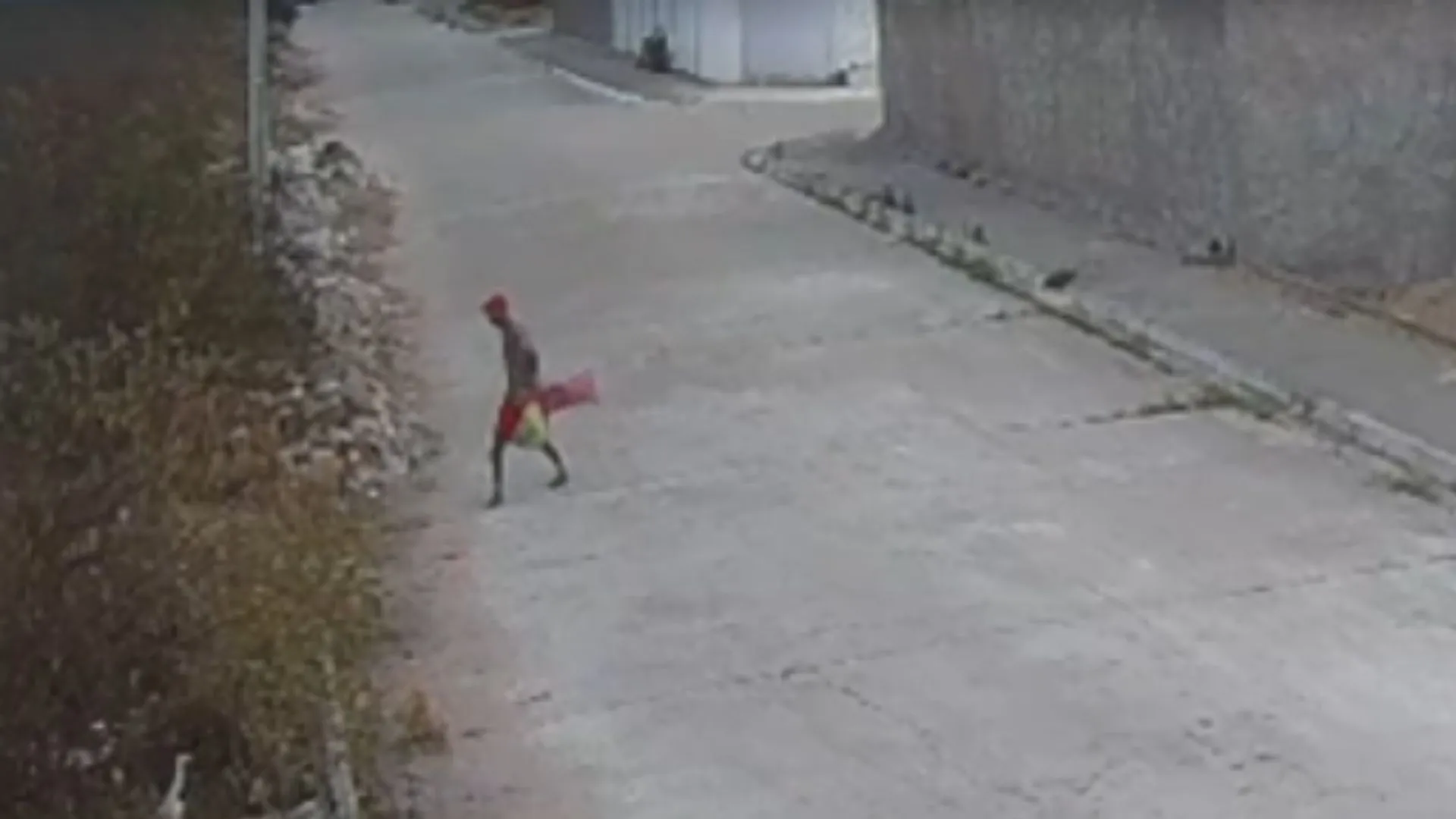 Padrasto de Allani Rayanne foi flagrado descartando supostas armas do crime em matagal