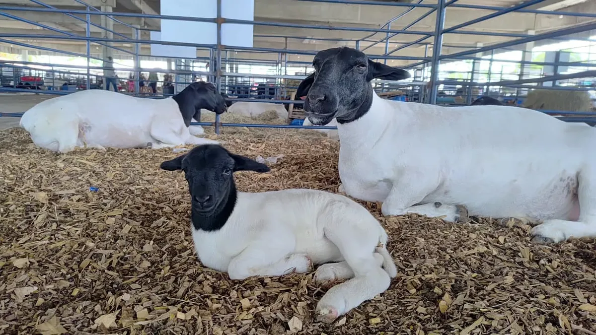 Fernanda e a sua mamãe