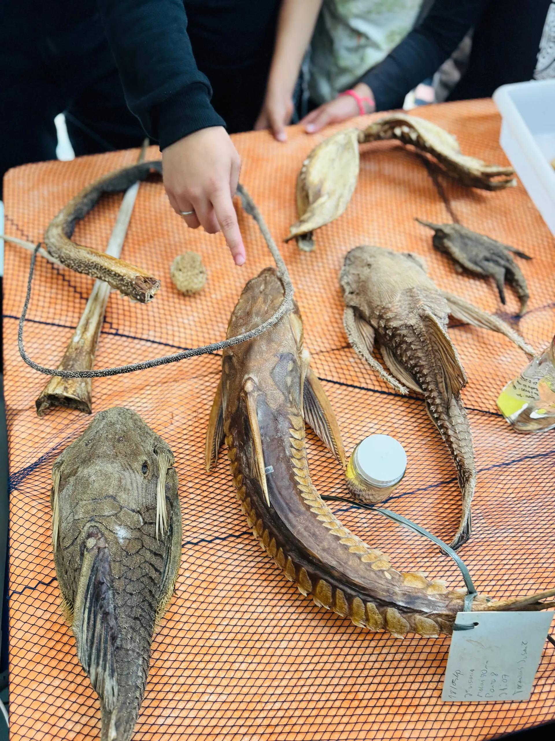 Imagem ilustrativa da imagem Salvador recebe programação especial da Semana de Ciência e Tecnologia