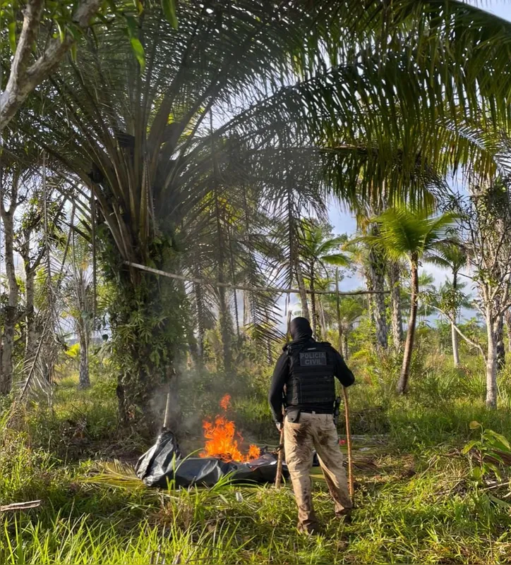 Imagem ilustrativa da imagem Suspeito morre em 'cafofo' do tráfico derrubado pela polícia na Bahia