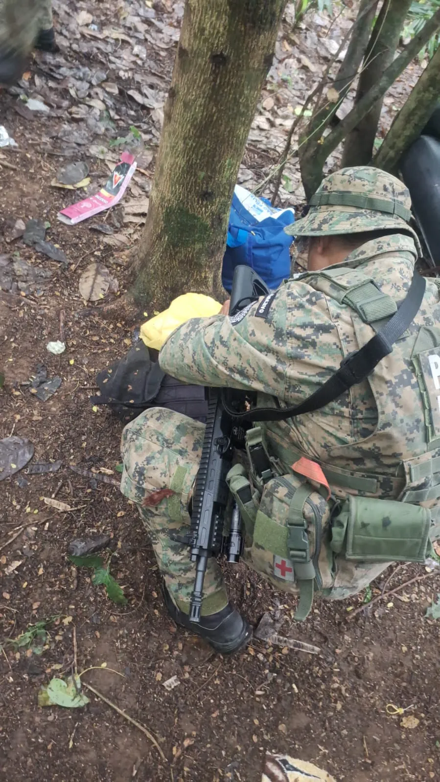 Imagem ilustrativa da imagem Tarzan do crime? PM destrói 'cafofo' de facção em matagal na Bahia